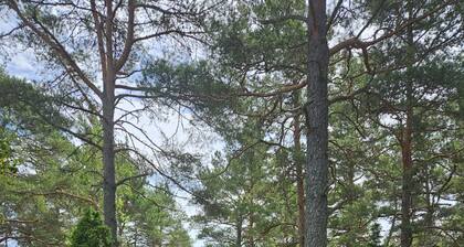 Dream Cottage in the Stockholm Archipelago