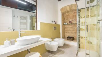 Shower, hair dryer, bidet, towels