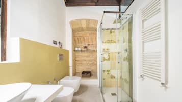 Shower, hair dryer, bidet, towels