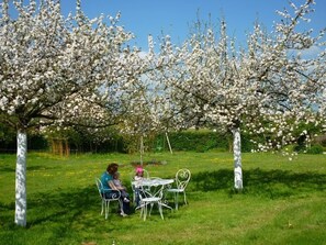 Outdoor dining - Gîtes de France® - Au Merle Moqueur (VATTEVILLE LA RUE)