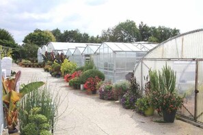 Property grounds - Gîtes de France® - Le Gite du Moulin du Château (MESNIERES EN BRAY)