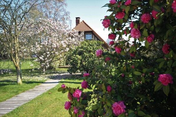 Property grounds - Gîtes de France® - L'Auge Normande (AVREMESNIL)