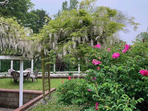 Le Cerisier - CAILLEVILLE