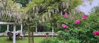 Le Cerisier - CAILLEVILLE