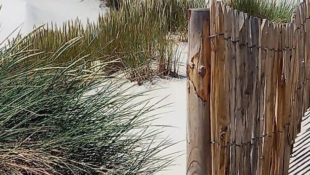 Une plage avec des dunes et une clôture en bois au premier plan.