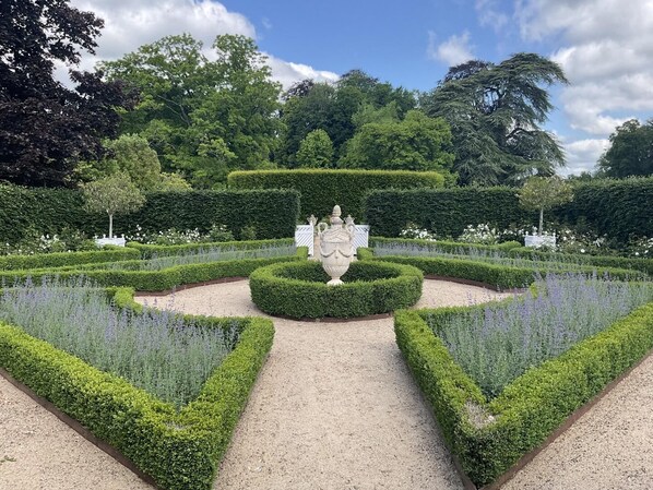 المنطقة المحيطة بالمنشأة