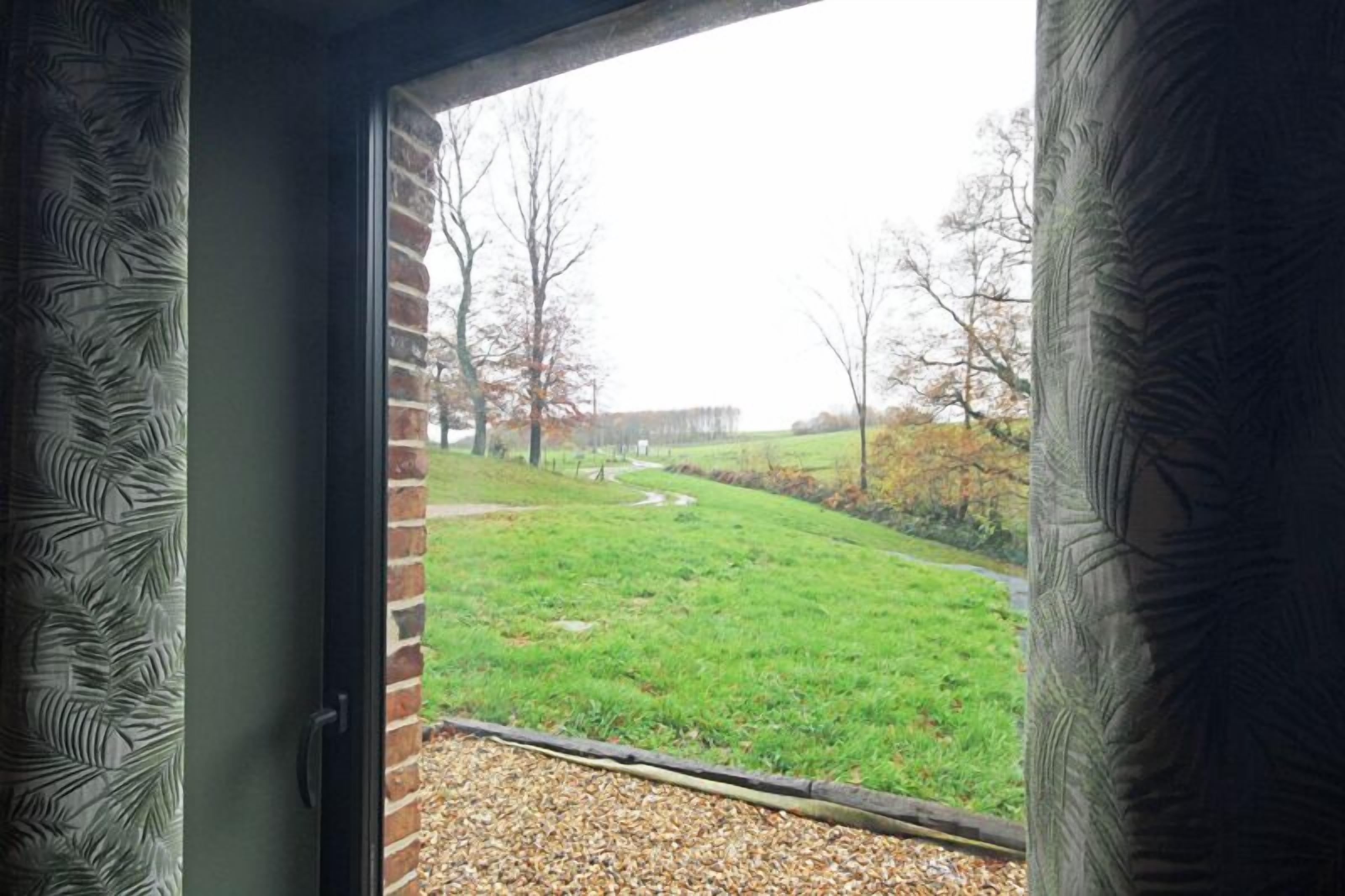 A view from a window with frosted glass, revealing a grassy outdoor area with trees and a brick wall.