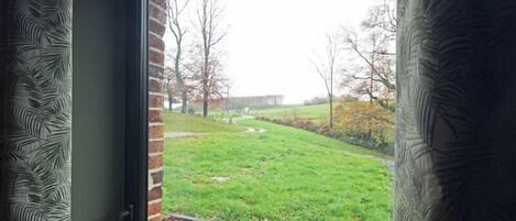A view from a window with frosted glass, revealing a grassy outdoor area with trees and a brick wall.
