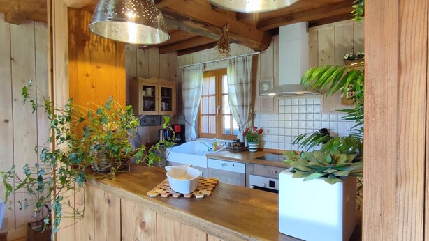 Una cocina rústica con paredes de madera, una encimera de madera, un fregadero, una estufa y varias plantas.