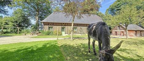 Terrein van de accommodatie