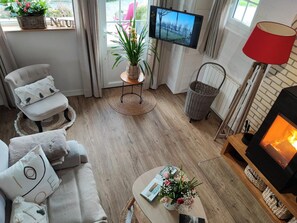 電視、壁爐、DVD 播放機