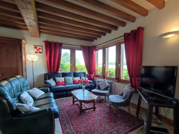 TV, DVD player, table tennis