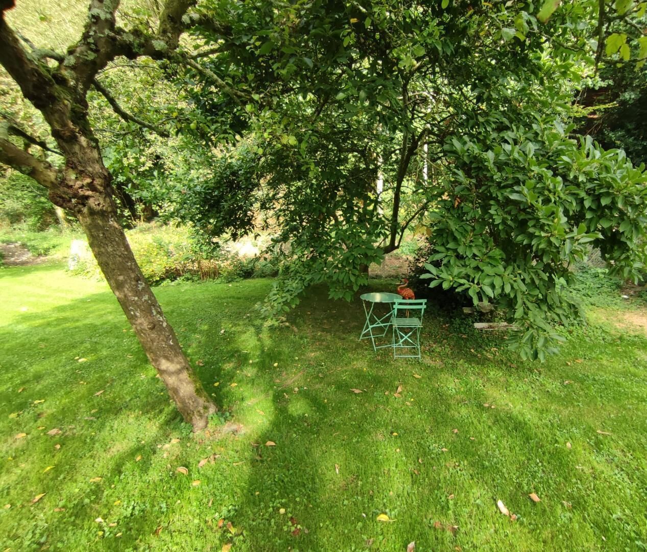 A grassy outdoor area with a metal table and chairs under a tree.