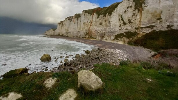 Un paysage côtier caractérisé par de hautes falaises blanches, une plage rocheuse et un premier plan verdoyant.