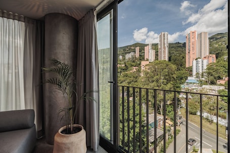 Vista desde la propiedad