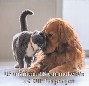 Animaux de compagnie acceptés