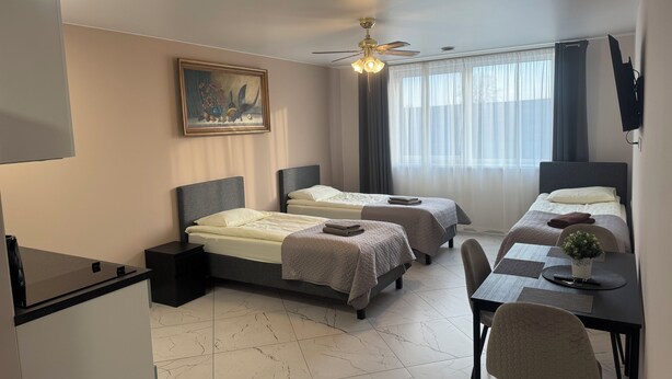 1 bedroom, iron/ironing board, internet, bed sheets - Guesthouse Imperia 8 (Šiauliai)