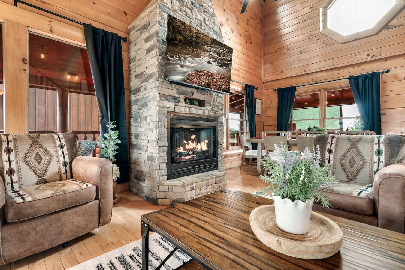 TV, fireplace, video games, books