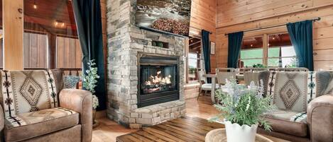 TV, fireplace, video games, books