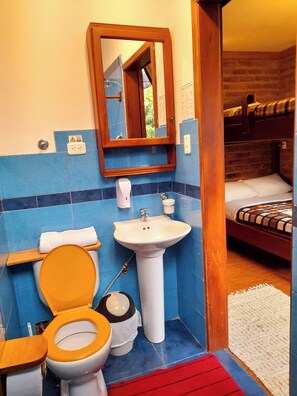 Shower, towels, soap, toilet paper