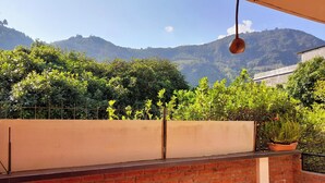 A balcony with a brick wall, potted plants, and a view of mountains.