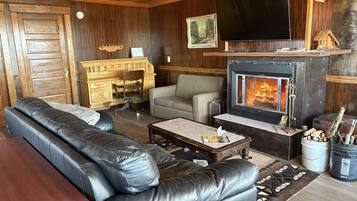 تلفزيون ذكي، مدفأة