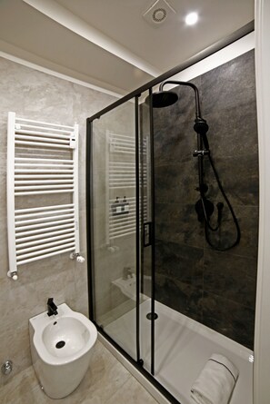 Shower, hair dryer, bidet, towels