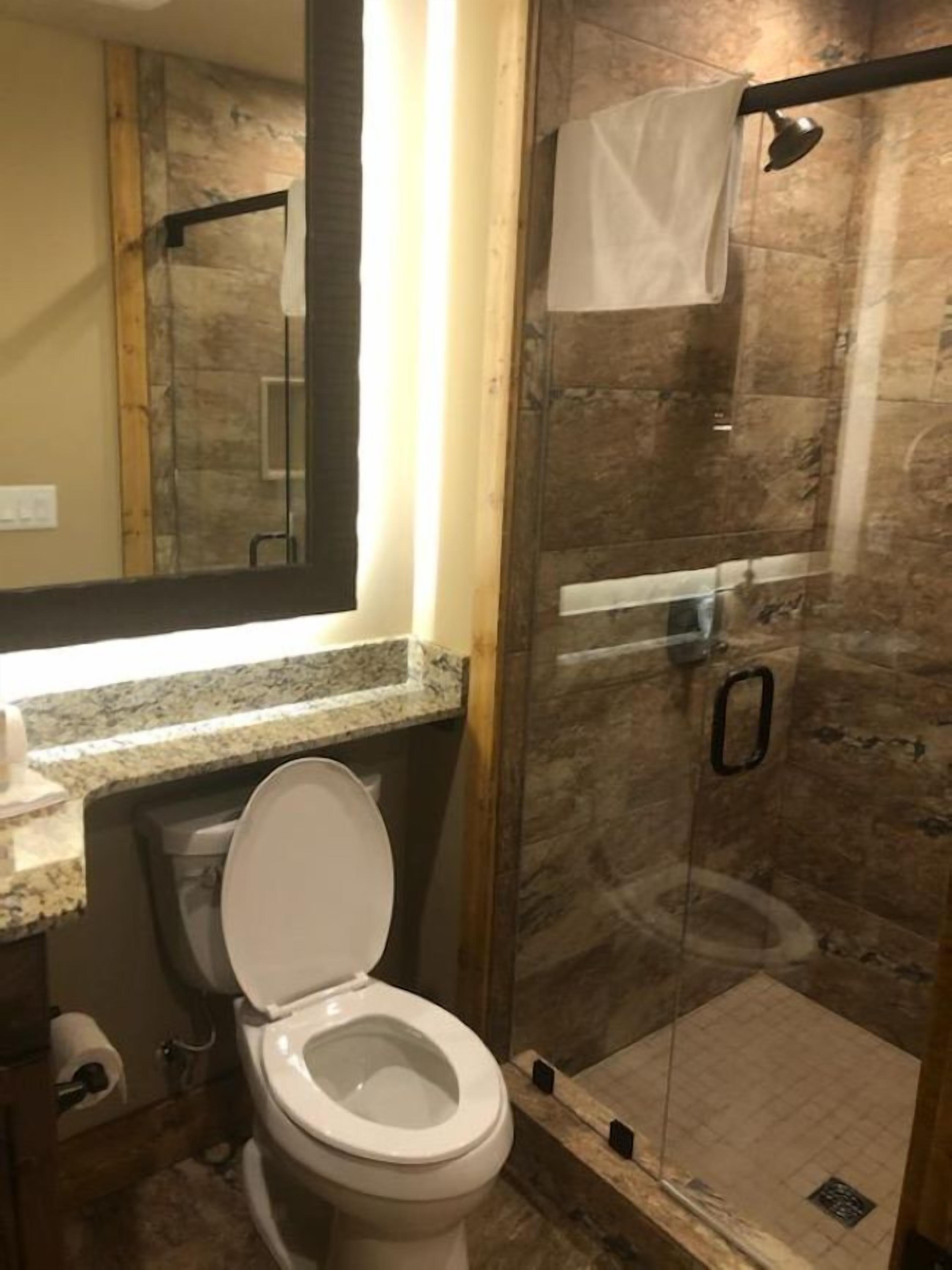A bathroom with a toilet, a glass-enclosed shower, and a granite countertop.