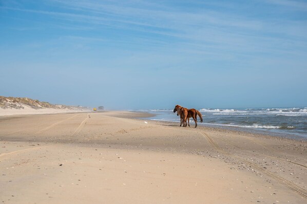 Beach nearby