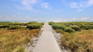 Un paseo marítimo de madera que conduce a la playa, bordeado por una vegetación densa.