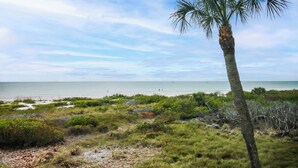 Ein Strand mit einer Palme und einer Rasenfläche.
