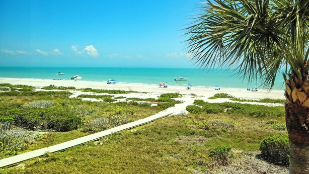 Ein Strand mit einem Pfad zum Wasser, umgeben von viel Grün und einer Palme.
