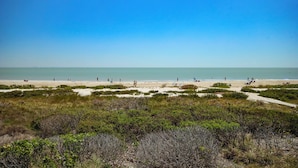 A beach with a clear sky, sandy shore, and sparse vegetation.