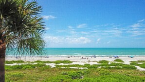 Ein Strand mit einer Palme, sandigem Ufer und blauem Himmel.