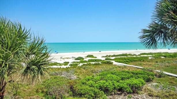 A beach with white sand, clear blue water, and green vegetation. - 3rd Story Sanibel condo with panoramic views of the Gulf - Sandalfoot 5C3 (Sanibel Island)