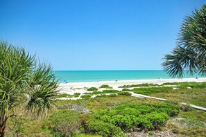 A beach with white sand, clear blue water, and green vegetation. - 3rd Story Sanibel condo with panoramic views of the Gulf - Sandalfoot 5C3 (Sanibel Island)