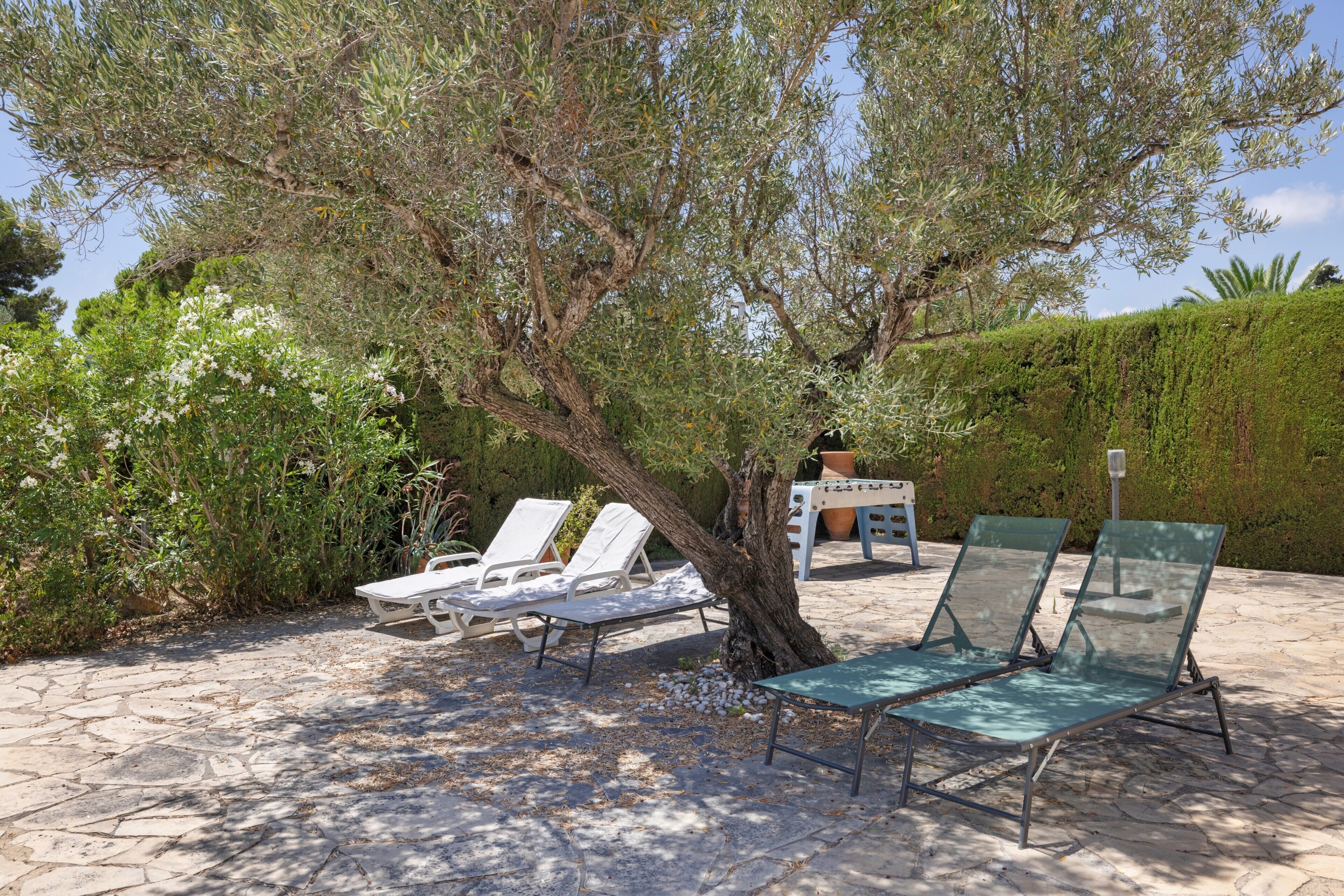 A patio with stone flooring, two lounge chairs, a table, and a tree providing shade.