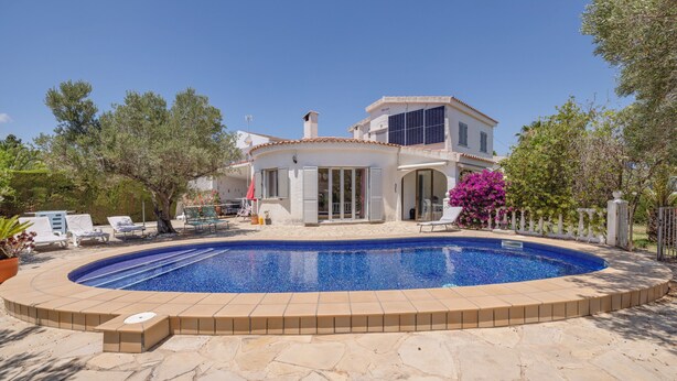 A swimming pool with a tiled edge, a house with a tiled roof, and a garden with trees and shrubs.