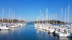 A marina with numerous sailboats docked, calm water, and a clear sky.
