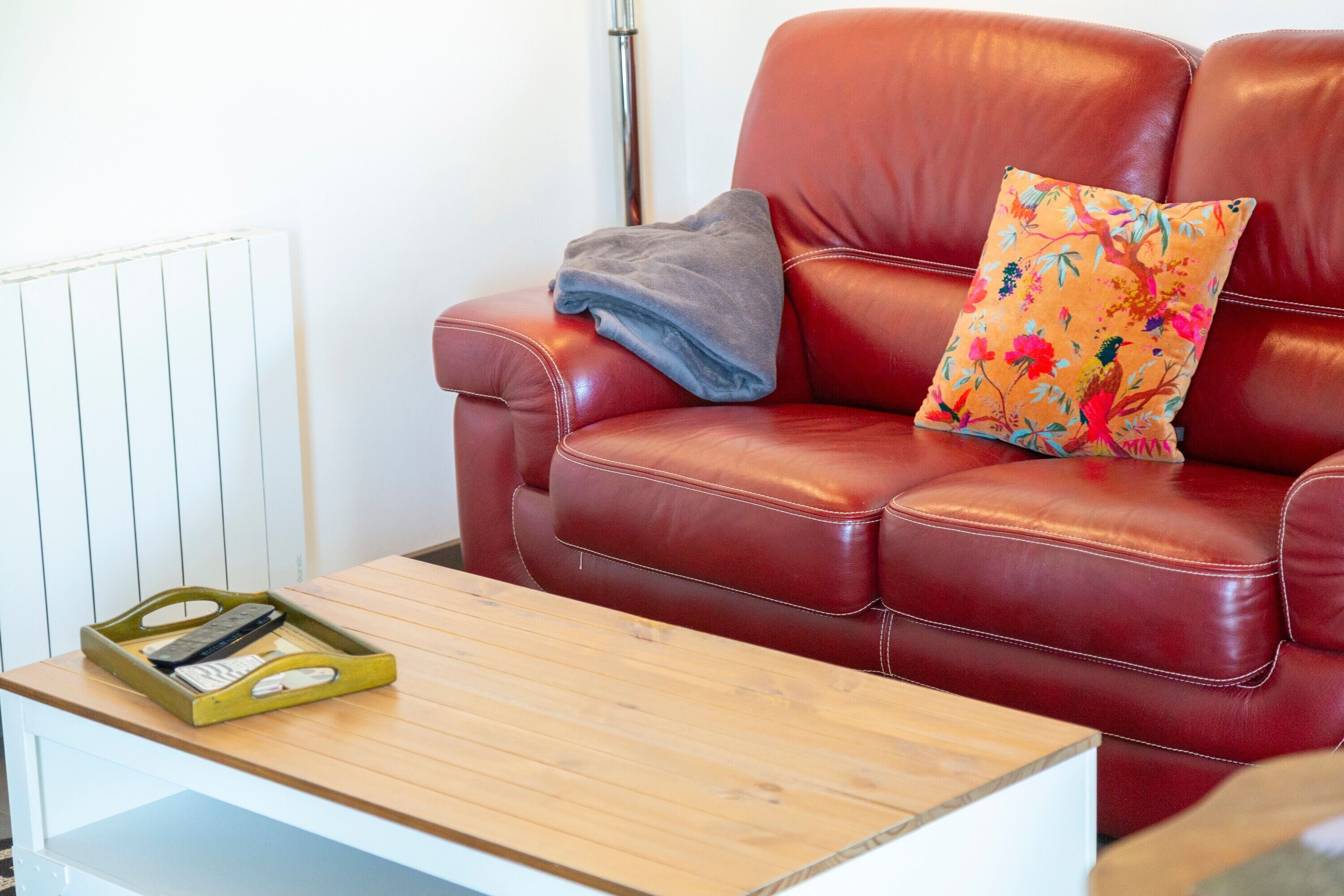 Un canapé en cuir rouge agrémenté d’un coussin à motifs floraux et d’une couverture grise, une table basse en bois avec un plateau, et un radiateur blanc.