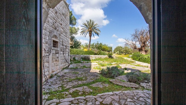 An arched stone doorway leading to a courtyard with a palm tree and a stone building. - Apartment 'Cerere' with Shared Terrace, Wi-Fi and Air Conditioning (Bisceglie)