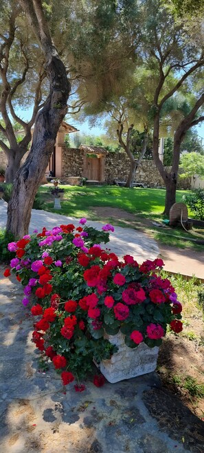 Parco della struttura