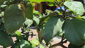 施設の正面