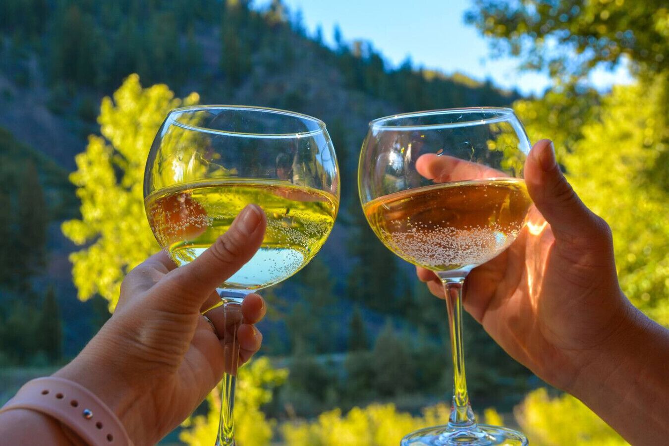 Deux mains tenant des verres à vin, avec un paysage montagneux en arrière-plan.