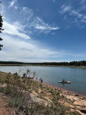 Beach - A Peaceful Retreat Wifi Golf Fish Hunt (Show Low)