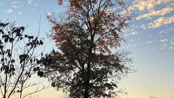 Varie