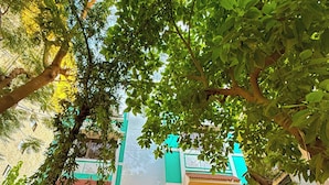 Entrada de un hotel con un letrero que dice "MYOTEL SANTACRUZ".