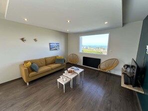 Fernseher, Arbeitsbereiche