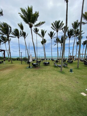 Property grounds - Beachfront resort in Muro Alto with smart, pet-friendly pool and 4-star accommodation (Ipojuca)