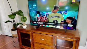 Un téléviseur posé sur un meuble en bois, avec une plante en pot à côté.